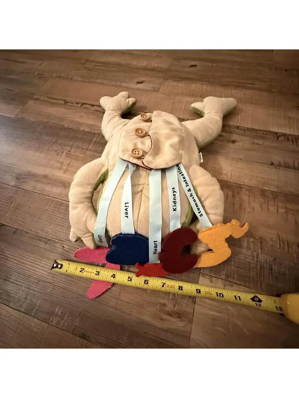 Kiwi‎ Co Froggie Lab Dissection Plush Toy 17x11x4